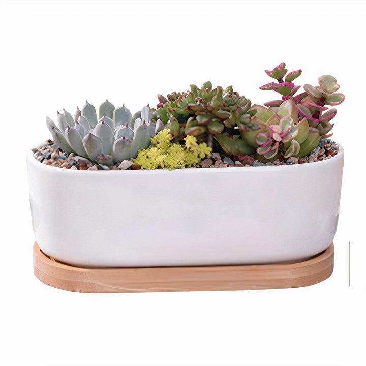 Message in a Planter - 7" Oval